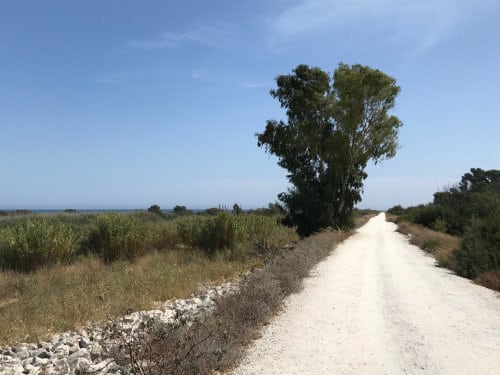 Flat running trail in Torremolinos